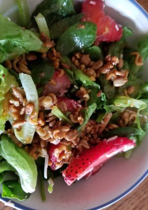 A picture of Strawberry Salad.