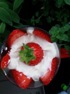 Erdbeer Butterkeks Dessert mit Quark im Glas Rezepthauptbild