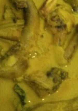 Foto resep Opor ayam bunda zalfa