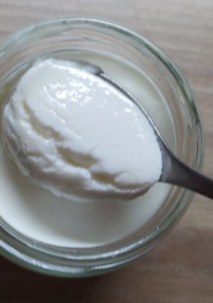 Φωτογραφία της συνταγής Σπιτικά γιαούρτια