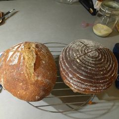 A picture of White Sourdough.