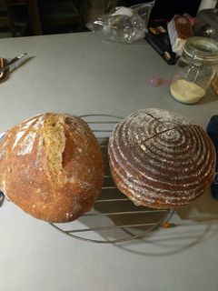 A picture of White Sourdough.