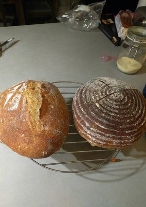 A picture of White Sourdough.