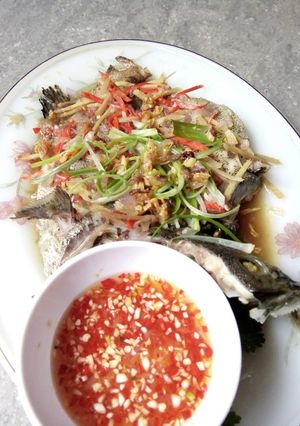 Hình của món Cá mú hấp gừng.