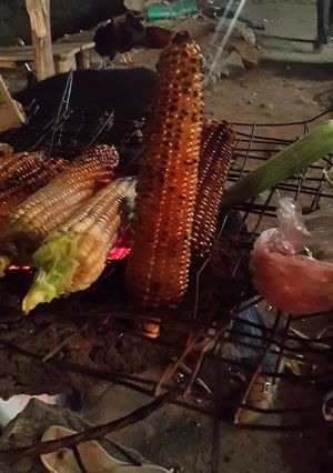 A picture of Roast maize.