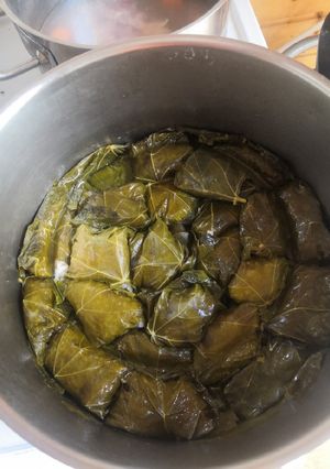 Φωτογραφία της συνταγής Ντολμαδάκια γιαλαντζί της Χαράς