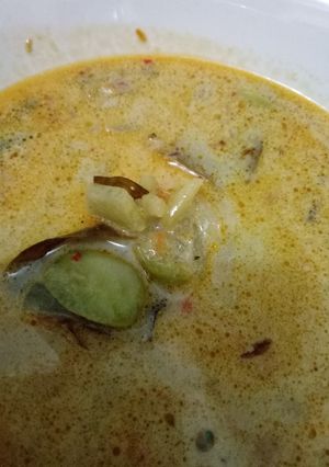 Foto resep Sayur Lebaran