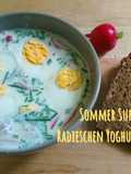 Sommerliche Yoghurt Radieschen Suppe 🥣 mit Ei