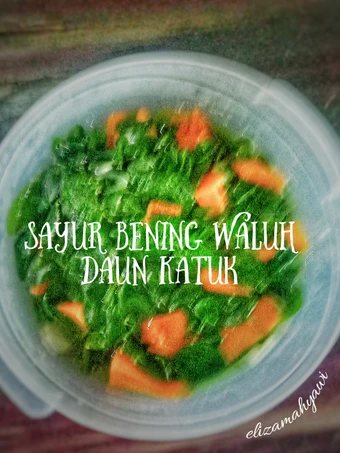 Cara Gampang Membuat Resep  Sayur Bening waluh Daun Katuk yang Sempurna, Enak