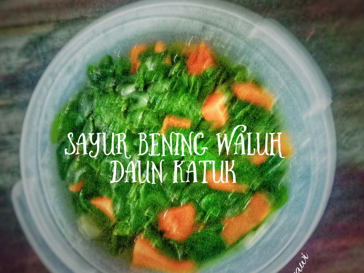 Cara Gampang Membuat Resep  Sayur Bening waluh Daun Katuk yang Sempurna, Enak
