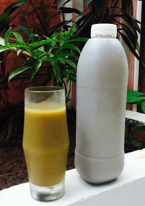Foto resep Homemade! Susu Sari Kacang Hijau