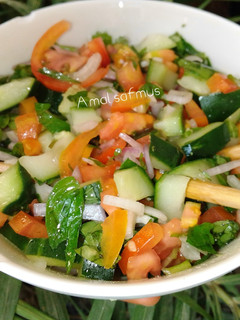 A picture of Persian salad.