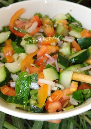 A picture of Persian salad.