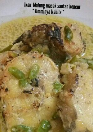 Foto resep Ikan Malung masak santan kencur