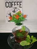 Teh daun mint