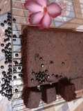 Brownies tepung singkong (tiwul)