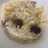 Risotto de setas, habas y gambas (en Newcook)