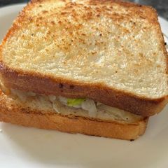 A picture of Potato Fritter Sandwich🥪🥪.