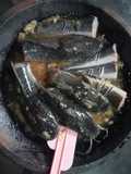 Marinasi ikan lele