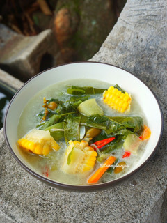 Foto resep Sayur Lodeh Kuah Putih✨