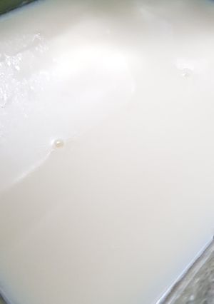 Foto resep Pudding leci