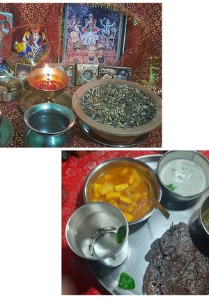 A picture of Aaloo Paneer (For Navratri Fasting).