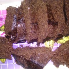 A picture of Brownie.
