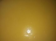 Una foto de licuados de mango