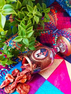 عکسی از دستور برگه ی زردآلو