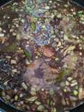 Rawon daging kerbau