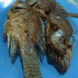 Nila goreng garing