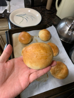 A picture of Hokkaido Milk Buns.