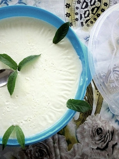 عکسی از دستور ماست خونگی