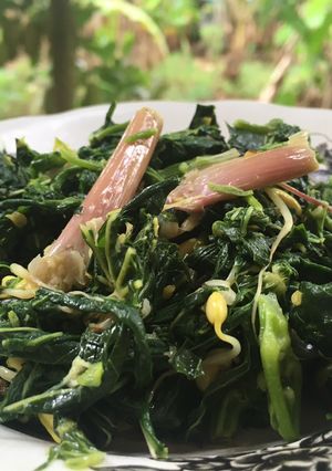 Foto resep Tumis Daun Singkong