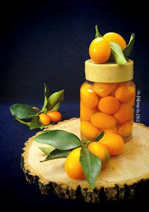 عکسی از دستور ترشی کامکوات