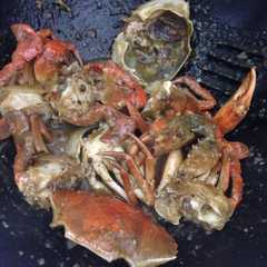 A picture of Kepiting lada hitam.