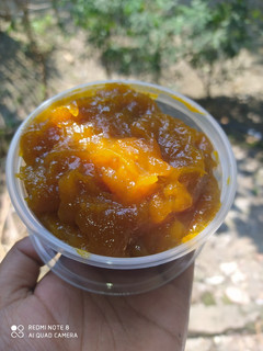 Foto resep Selai Mangga Gadung