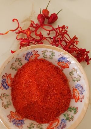 عکسی از دستور پودر پاپریکا خانگی و نیمه‌تند🫑♨️