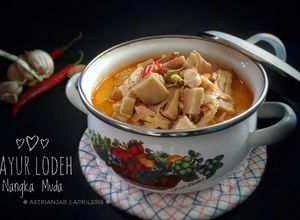 Foto resep Lodeh Nangka Muda / Gori