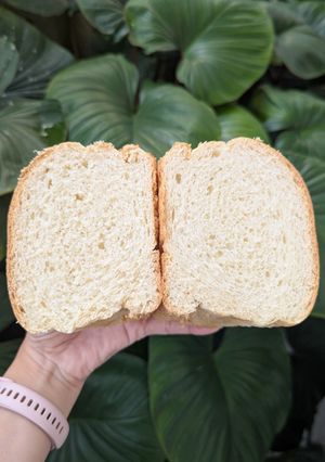 Foto resep Sourdough Shokupan