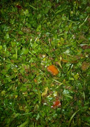A picture of Kwadon lansir.