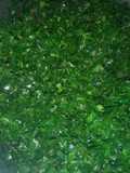Sauted sukuma wiki