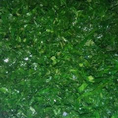 A picture of Sauted sukuma wiki.