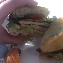 Turkey avocado bacon sandwiches (with rosemary olive oil rolls) A picture of Turkey avocado bacon sandwiches (with rosemary olive oil rolls).