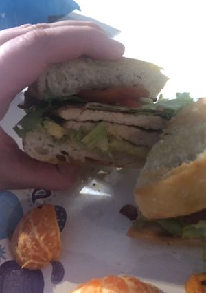 A picture of Turkey avocado bacon sandwiches (with rosemary olive oil rolls).