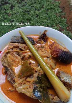 Foto resep Tongkol Putih Gulai Kari 😘