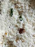 தேங்காய் சாதம்(coconut rice recipe in tamil)