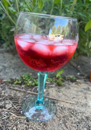 A picture of Select Spritz – Venetian aperitivo.