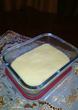 Foto resep Keju Mozzarella Rumahan