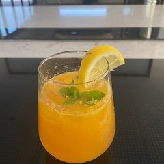 A picture of Mango Mule.